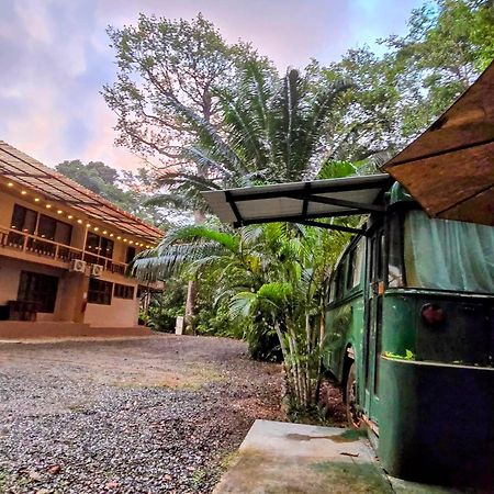 Cool Waters Jungle Villas أوفيتا المظهر الخارجي الصورة