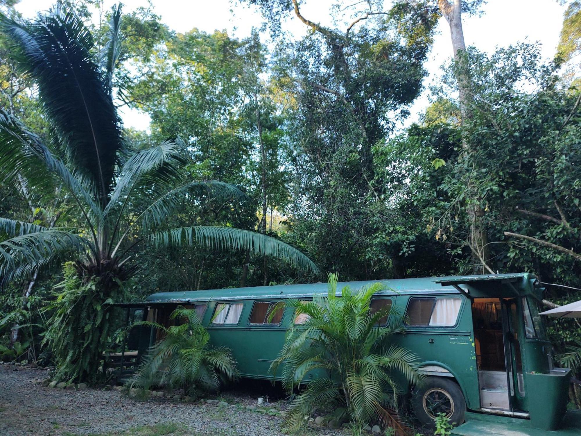 Cool Waters Jungle Villas أوفيتا المظهر الخارجي الصورة