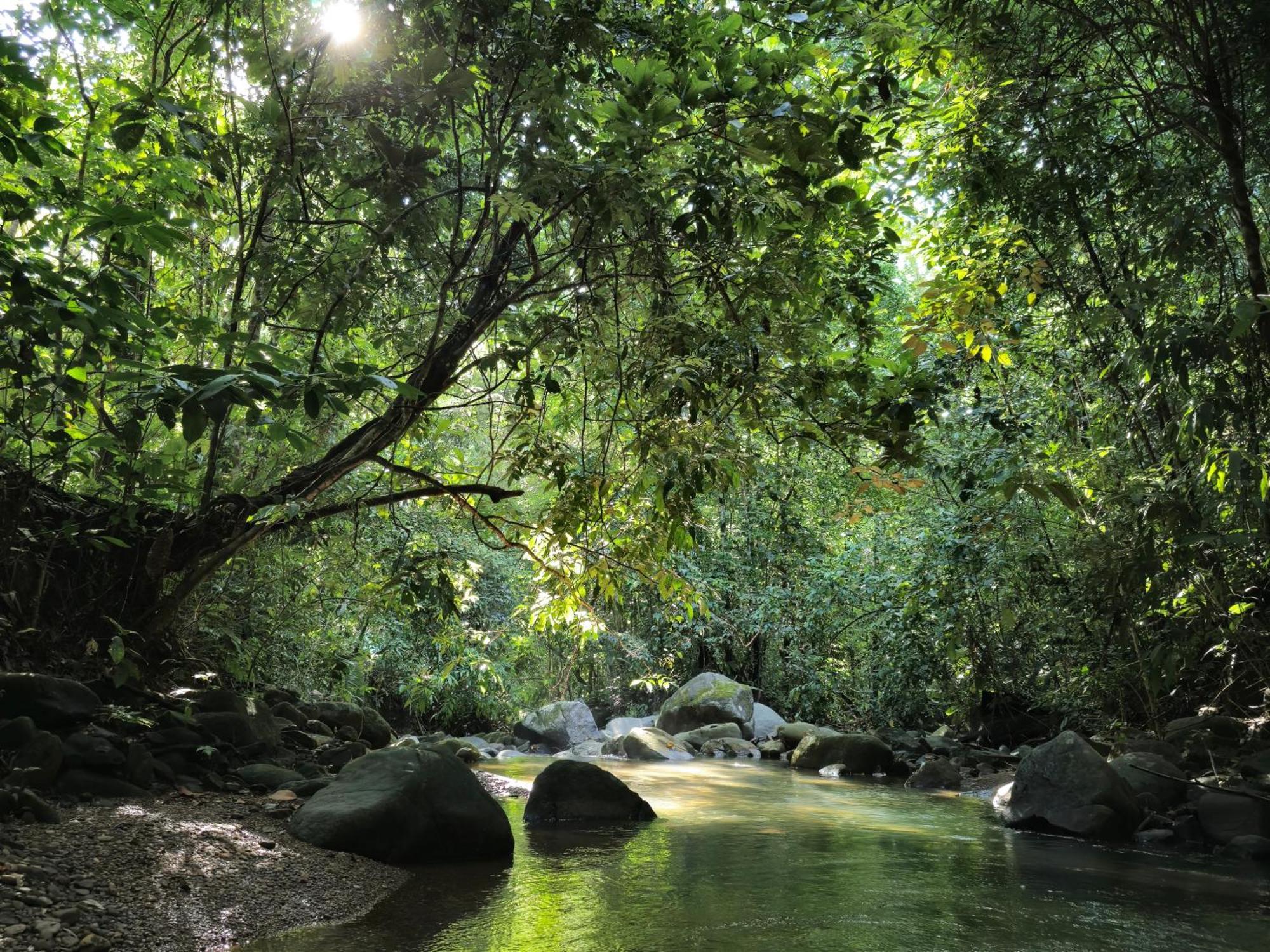 Cool Waters Jungle Villas أوفيتا المظهر الخارجي الصورة