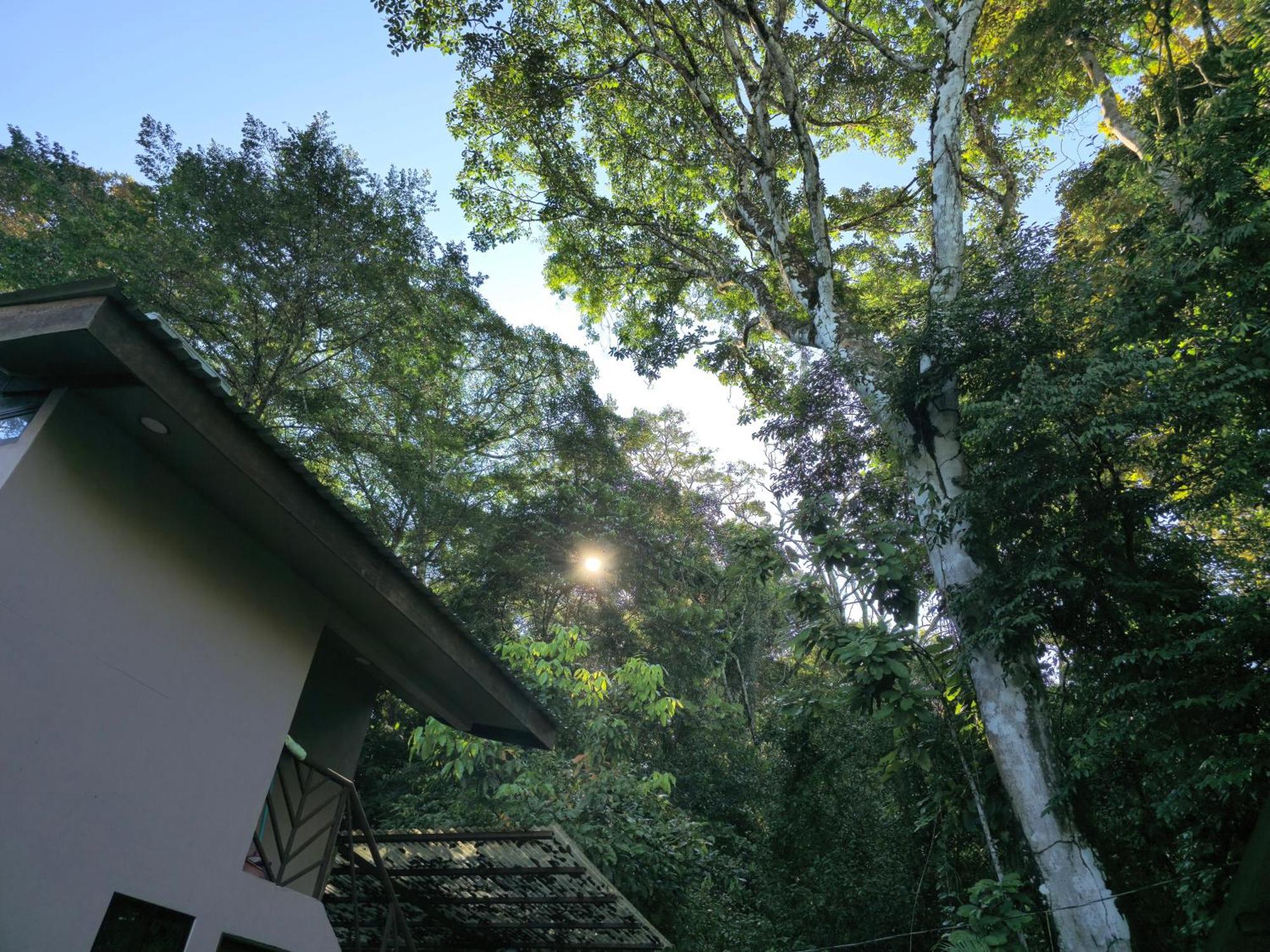 Cool Waters Jungle Villas أوفيتا المظهر الخارجي الصورة