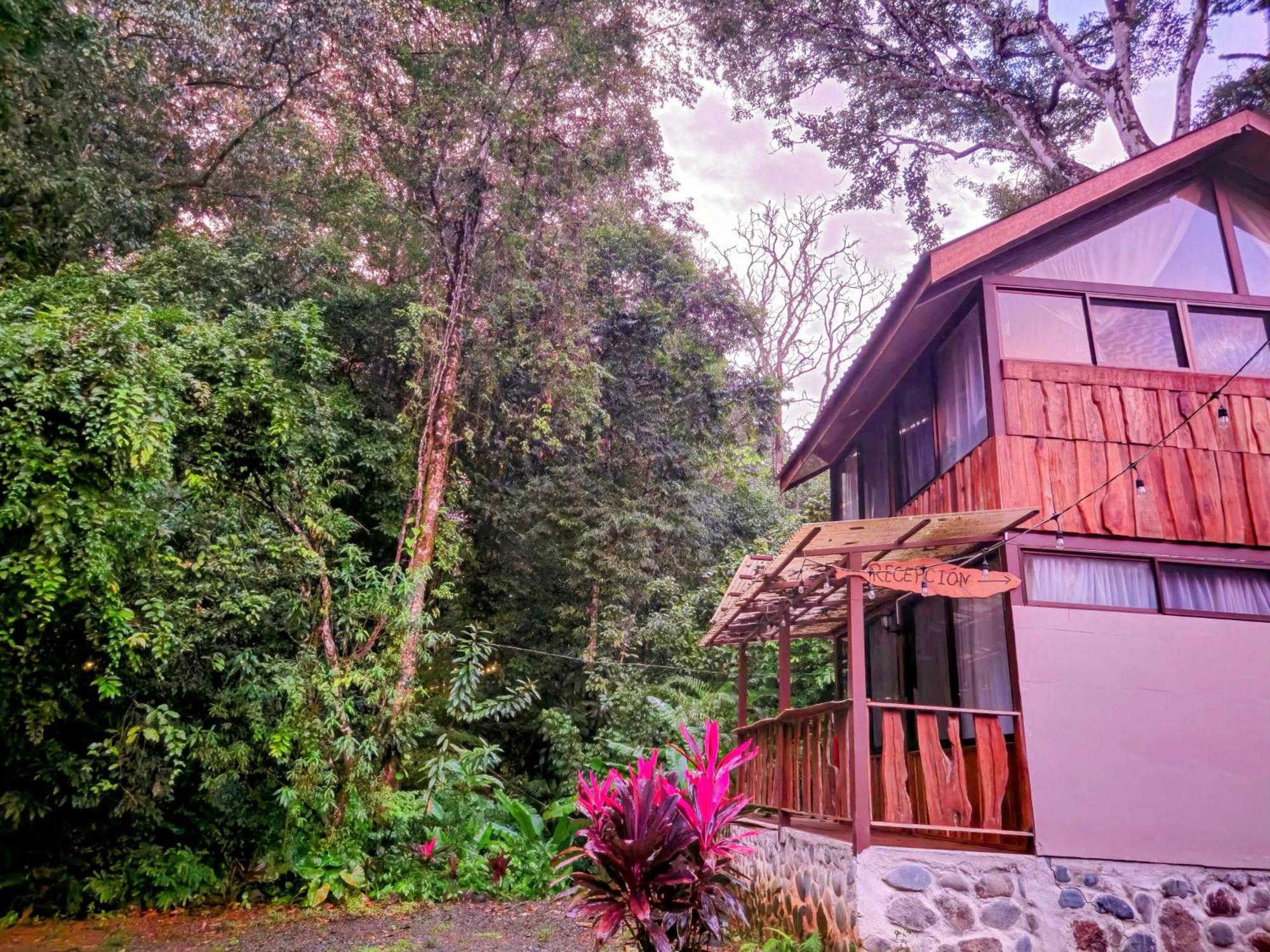 Cool Waters Jungle Villas أوفيتا المظهر الخارجي الصورة