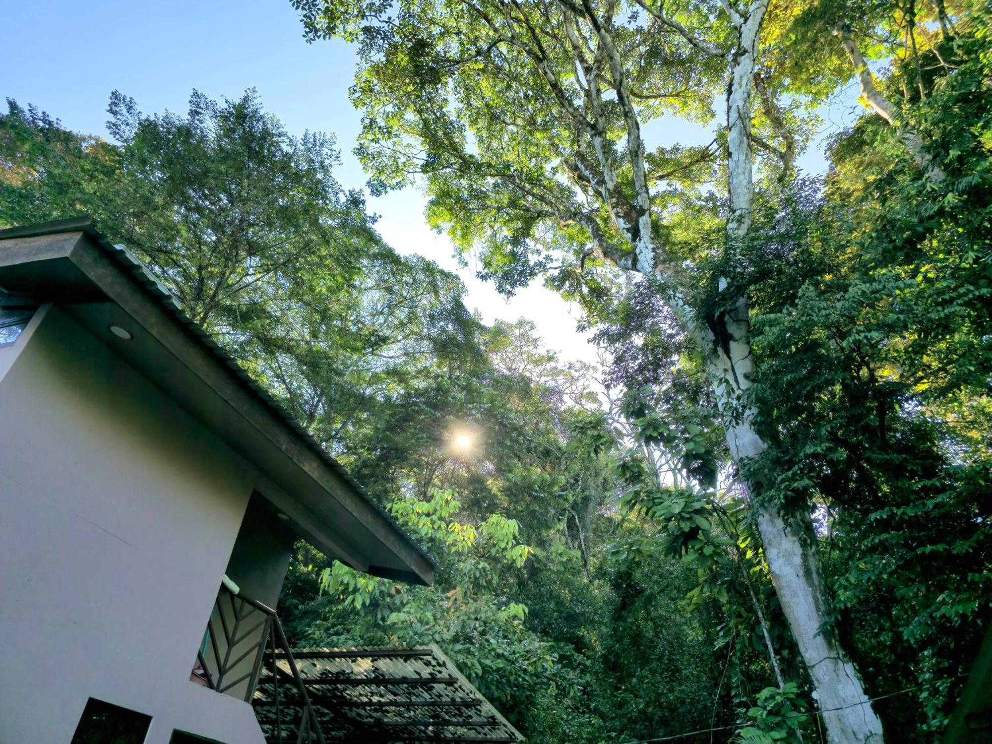 Cool Waters Jungle Villas أوفيتا المظهر الخارجي الصورة