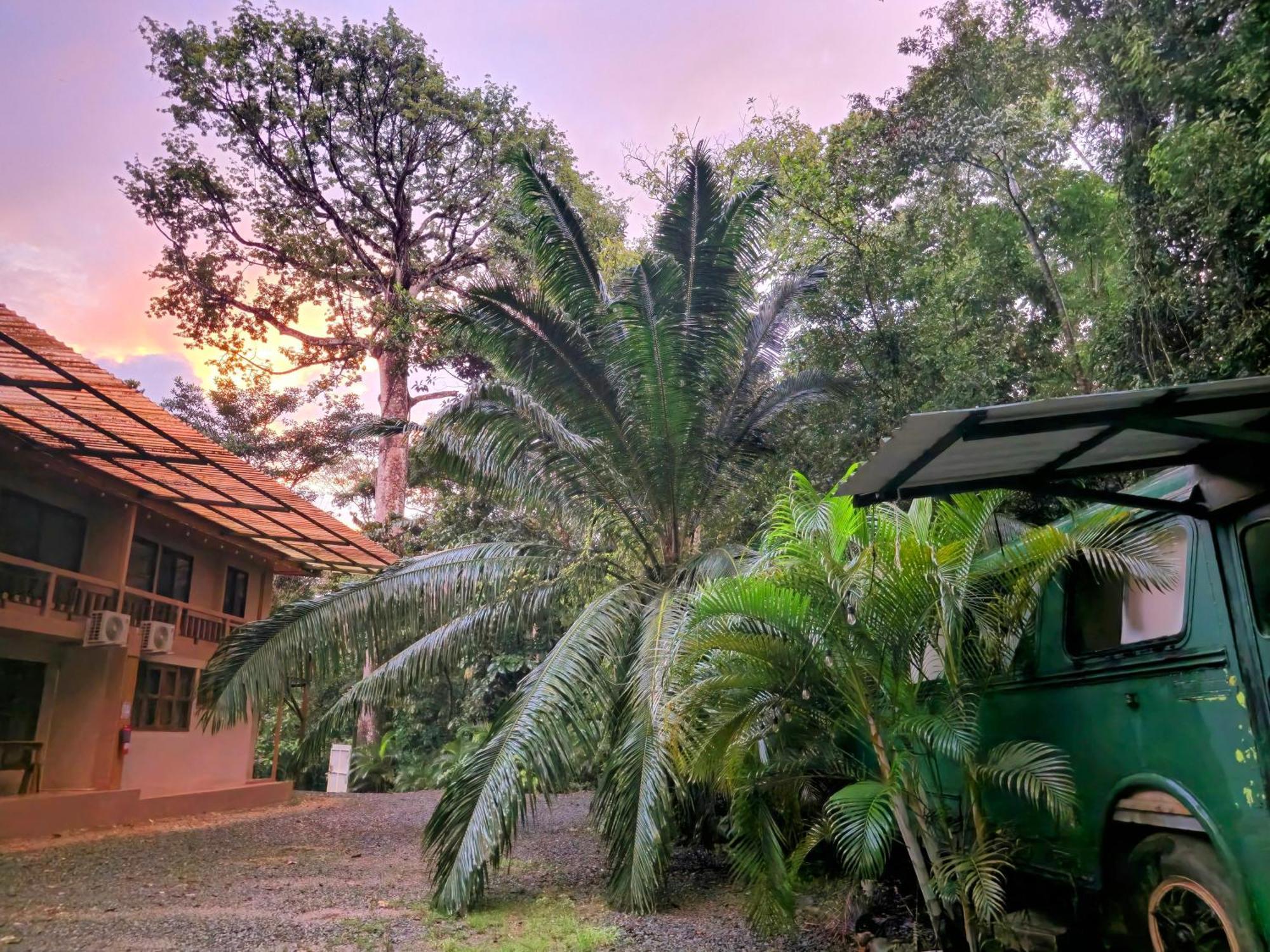 Cool Waters Jungle Villas أوفيتا المظهر الخارجي الصورة