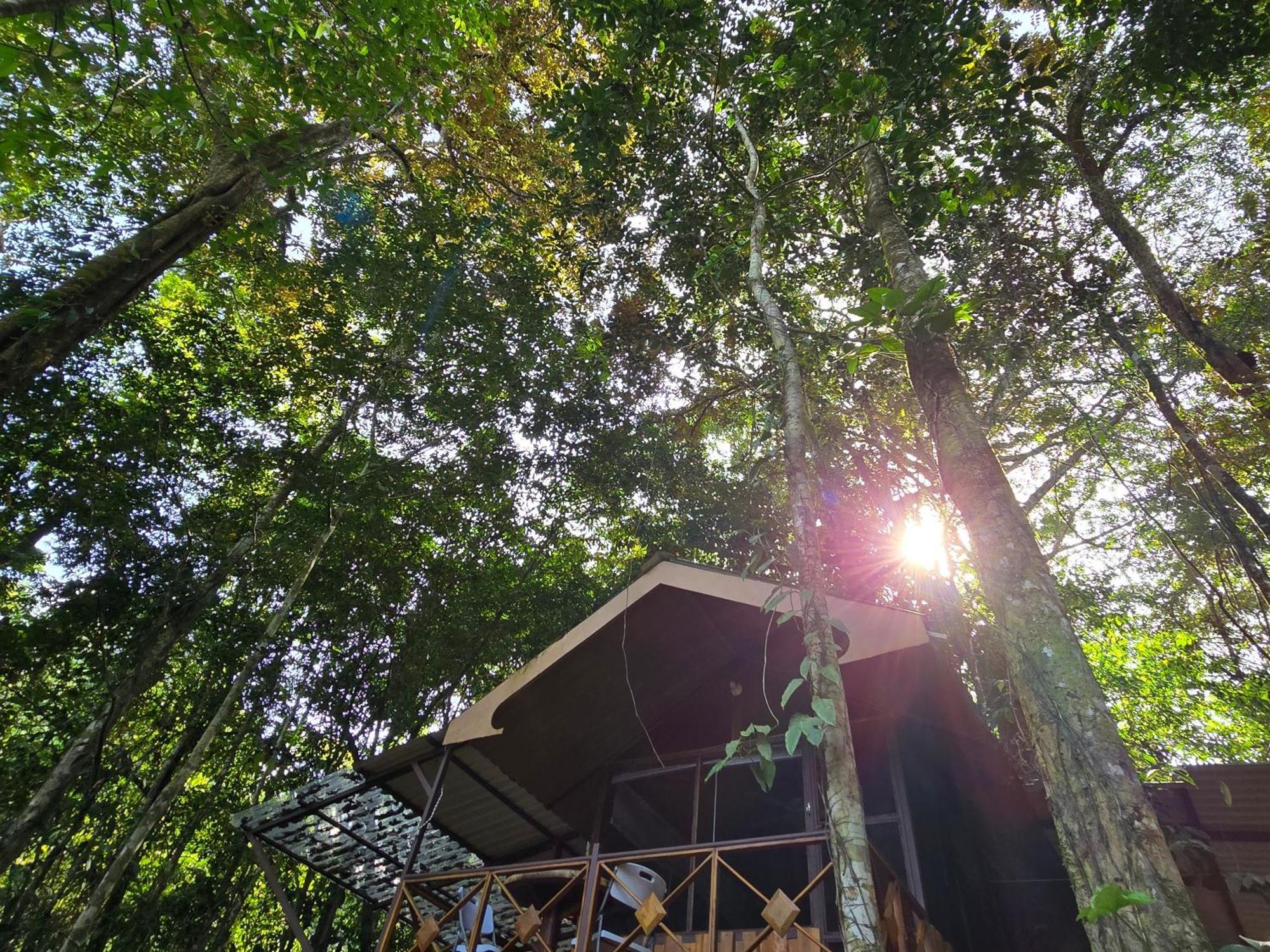 Cool Waters Jungle Villas أوفيتا المظهر الخارجي الصورة