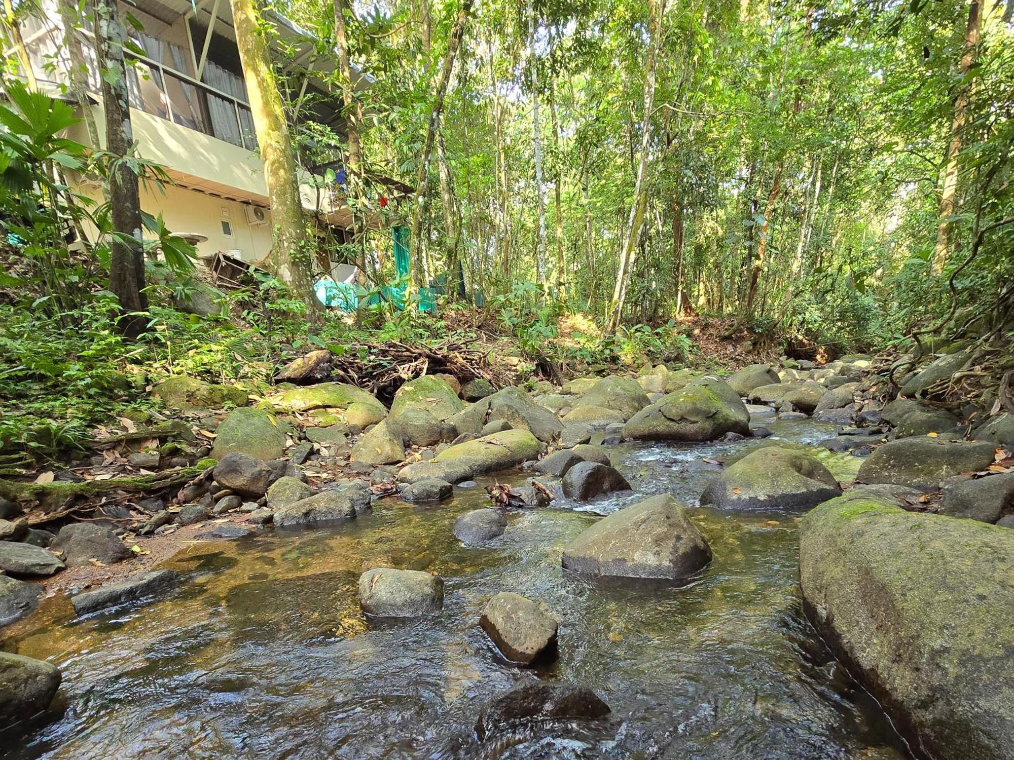 Cool Waters Jungle Villas أوفيتا المظهر الخارجي الصورة